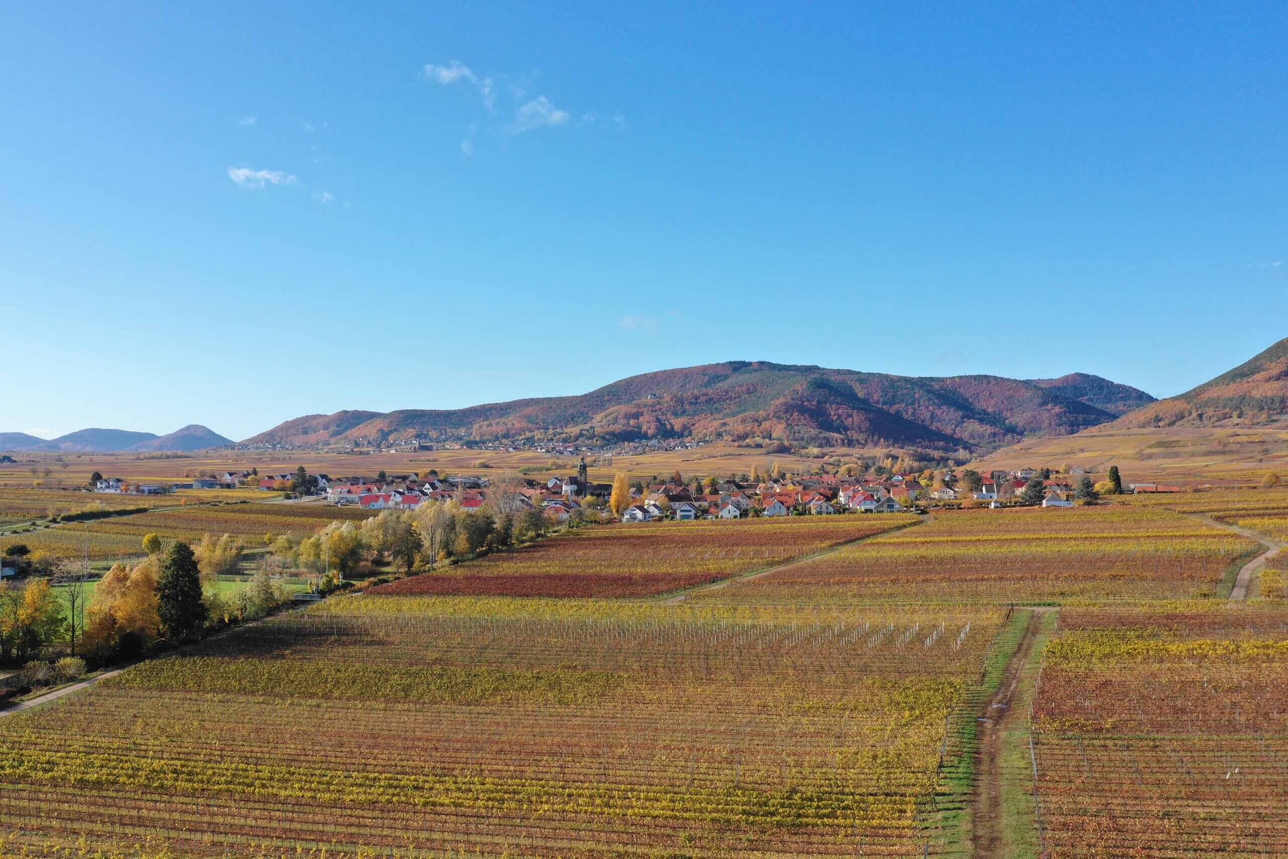 Luftaufnahme Hainfelds von Osten